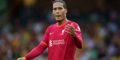 Ferdinand laat Virgil links liggen: "Beste van de Premier League"
