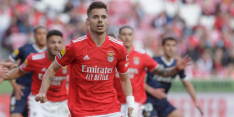 'Opvallend: Duitse speler wil weg bij Benfica door komst Schmidt'